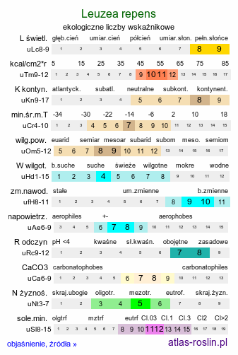 ekologiczne liczby wskaźnikowe Leuzea repens (akroptilon wschodni)