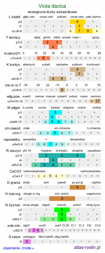 ekologiczne liczby wskaźnikowe Viola dacica (fiołek dacki)