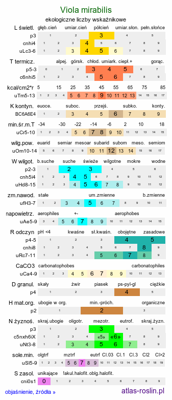 ekologiczne liczby wskaźnikowe Viola mirabilis (fiołek przedziwny)