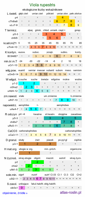 ekologiczne liczby wskaźnikowe Viola rupestris (fiołek skalny)