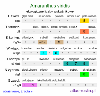 ekologiczne liczby wskaźnikowe Amaranthus viridis (szarłat smukły)