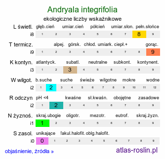 ekologiczne liczby wskaźnikowe Andryala integrifolia (jawełna całolistna)