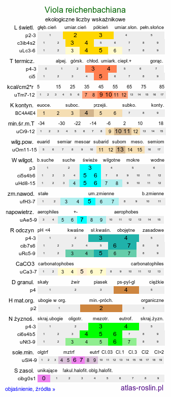 ekologiczne liczby wskaźnikowe Viola reichenbachiana (fiołek leśny)