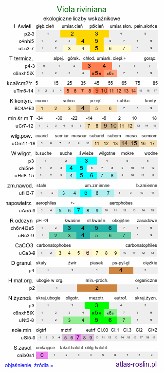 ekologiczne liczby wskaźnikowe Viola riviniana (fiołek Rivina)