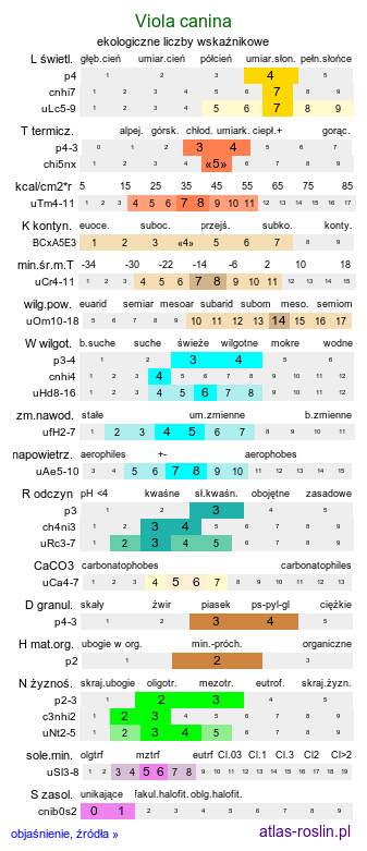 ekologiczne liczby wskaźnikowe Viola canina (fiołek psi)