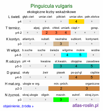 ekologiczne liczby wskaźnikowe Pinguicula vulgaris s.l. (tłustosz pospolity)