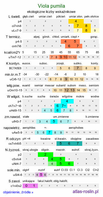 ekologiczne liczby wskaźnikowe Viola pumila (fiołek drobny)