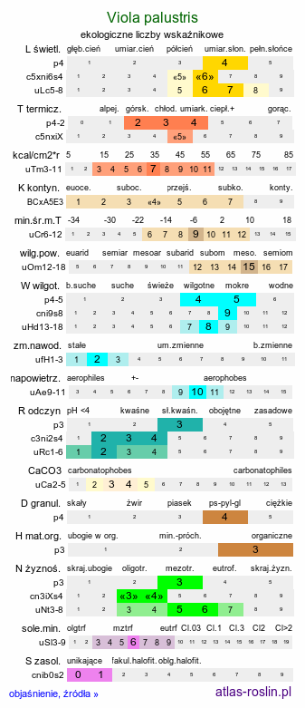 ekologiczne liczby wskaźnikowe Viola palustris (fiołek błotny)