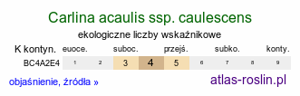 ekologiczne liczby wskaźnikowe Carlina acaulis ssp. caulescens (dziewięćsił bezłodygowy wyniesiony)
