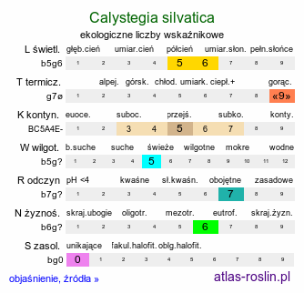 ekologiczne liczby wskaźnikowe Calystegia silvatica (kielisznik leśny)