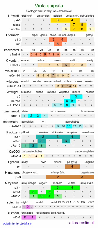 ekologiczne liczby wskaźnikowe Viola epipsila (fiołek torfowy)