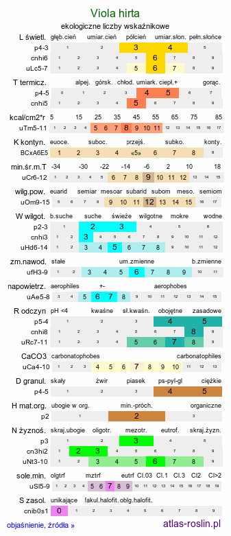 ekologiczne liczby wskaźnikowe Viola hirta (fiołek kosmaty)