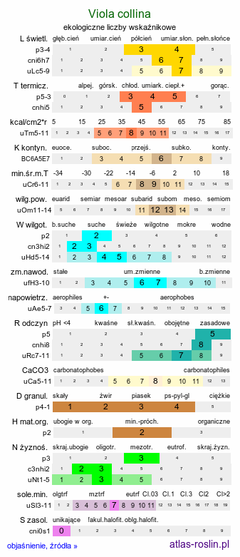 ekologiczne liczby wskaźnikowe Viola collina (fiołek pagórkowy)