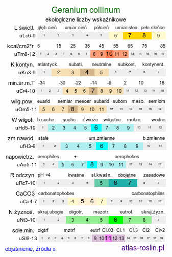 ekologiczne liczby wskaźnikowe Geranium collinum