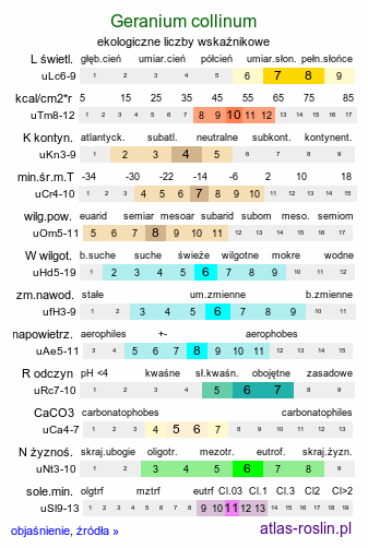 ekologiczne liczby wskaźnikowe Geranium collinum