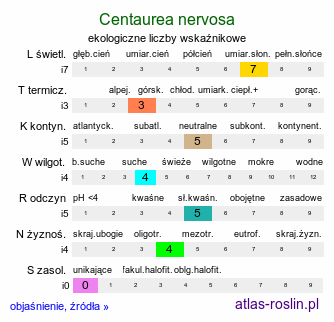 ekologiczne liczby wskaźnikowe Centaurea nervosa