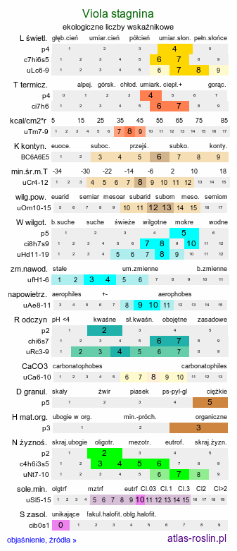 ekologiczne liczby wskaźnikowe Viola stagnina (fiołek mokradłowy)