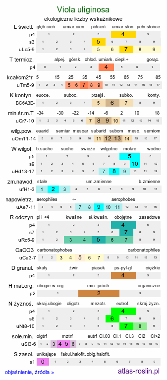 ekologiczne liczby wskaźnikowe Viola uliginosa (fiołek bagienny)