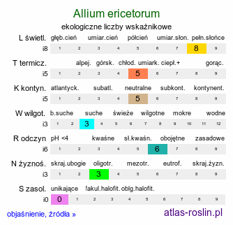 ekologiczne liczby wskaźnikowe Allium ericetorum