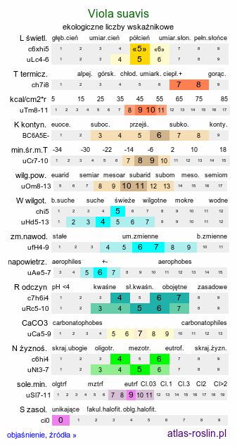 ekologiczne liczby wskaźnikowe Viola suavis (fiołek bławatkowy)