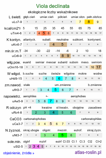 ekologiczne liczby wskaźnikowe Viola declinata