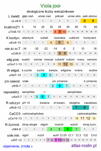 ekologiczne liczby wskaźnikowe Viola jooi (fiołek transylwański)