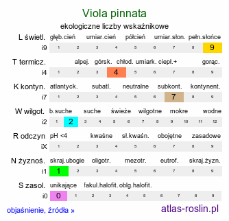 ekologiczne liczby wskaźnikowe Viola pinnata (fiołek pierzasty)