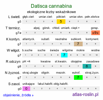 ekologiczne liczby wskaźnikowe Datisca cannabina