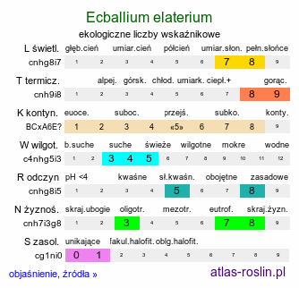 ekologiczne liczby wskaźnikowe Ecballium elaterium (tryskawiec sprężysty)