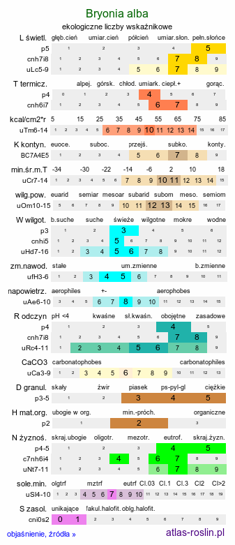ekologiczne liczby wskaźnikowe Bryonia alba (przestęp biały)