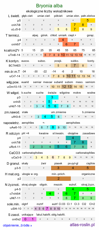 ekologiczne liczby wskaźnikowe Bryonia alba (przestęp biały)