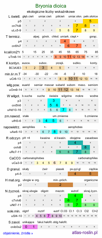 ekologiczne liczby wskaźnikowe Bryonia dioica (przestęp dwupienny)