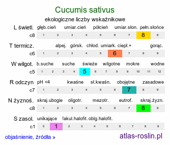 ekologiczne liczby wskaźnikowe Cucumis sativus (ogórek siewny)