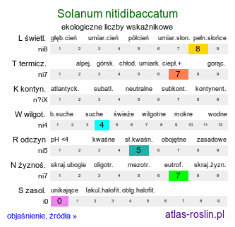 ekologiczne liczby wskaźnikowe Solanum nitidibaccatum
