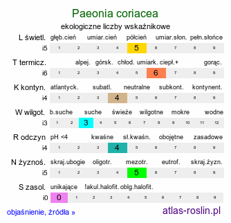 ekologiczne liczby wskaźnikowe Paeonia coriacea (piwonia skórzasta)