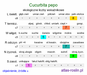 ekologiczne liczby wskaźnikowe Cucurbita pepo (dynia zwyczajna)