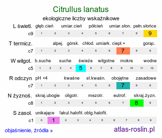 ekologiczne liczby wskaźnikowe Citrullus lanatus (arbuz zwyczajny)