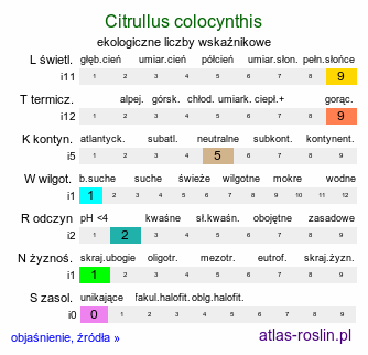 ekologiczne liczby wskaźnikowe Citrullus colocynthis (arbuz kolokwinta)