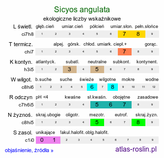 ekologiczne liczby wskaźnikowe Sicyos angulata (harbuźnik kolczasty)