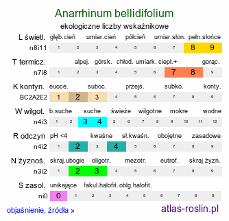ekologiczne liczby wskaźnikowe Anarrhinum bellidifolium