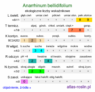 ekologiczne liczby wskaźnikowe Anarrhinum bellidifolium