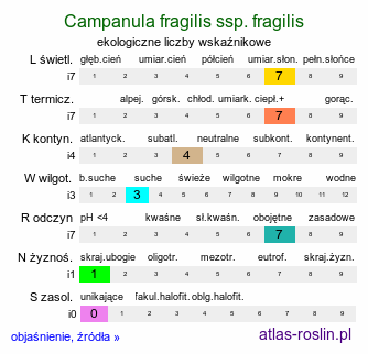 ekologiczne liczby wskaźnikowe Campanula fragilis ssp. fragilis (dzwonek neapolitański)