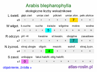 ekologiczne liczby wskaźnikowe Arabis blepharophylla (gęsiówka orzęsiona)
