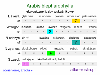 ekologiczne liczby wskaźnikowe Arabis blepharophylla (gęsiówka orzęsiona)