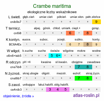 ekologiczne liczby wskaźnikowe Crambe maritima (modrak morski)