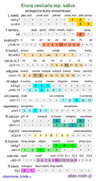 ekologiczne liczby wskaźnikowe Eruca vesicaria ssp. sativa (rokietta siewna)