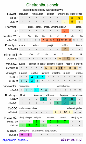ekologiczne liczby wskaźnikowe Cheiranthus ×cheiri (lak pospolity)