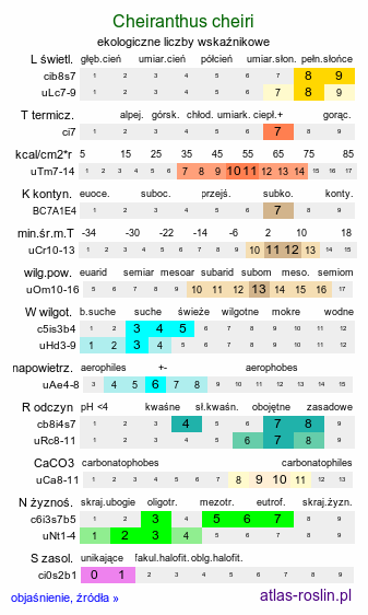 ekologiczne liczby wskaźnikowe Cheiranthus cheiri (lak pospolity)