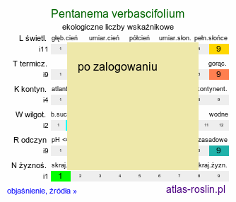 ekologiczne liczby wskaźnikowe Pentanema verbascifolium