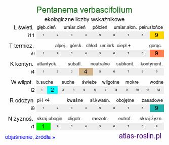 ekologiczne liczby wskaźnikowe Pentanema verbascifolium